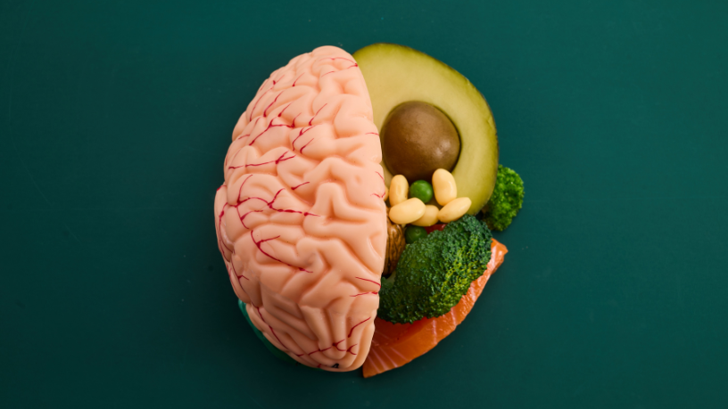 A conexão entre nutrição e neurodesenvolvimento revela como escolhas alimentares certas elevam o desempenho cognitivo e o bem-estar, tema aprofundado por Alexandre Costa Pedrosa.